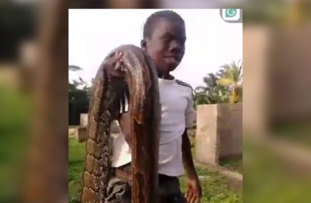 PHOTOS: 14-year-old conquers monstrous python in sugarcane farm