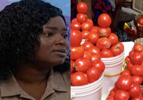 Tomato prices are high because of coronavirus — NPP’s Sandra Addo