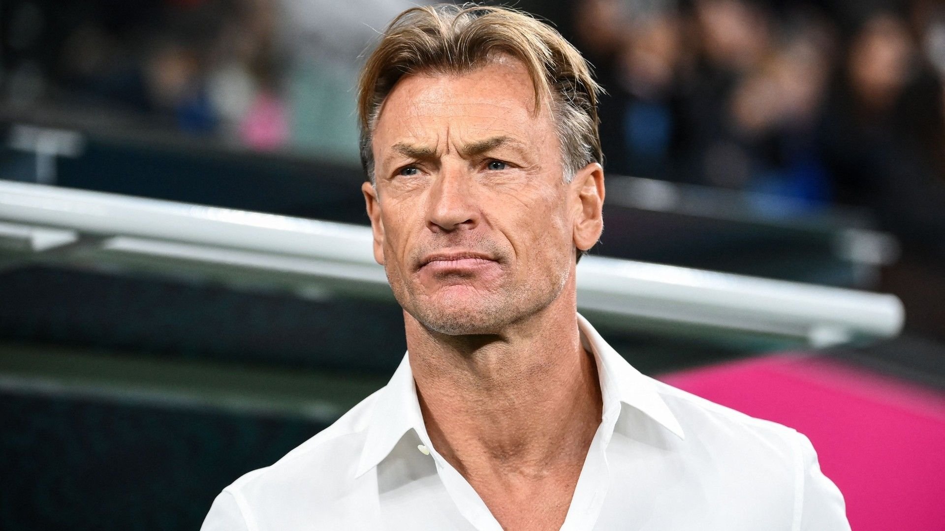 Herve Renard: “Euro is not better than Africa Cup of Nations”