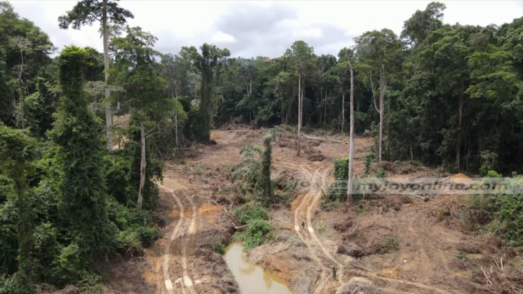 Revocation of L.I. on mining in forest reserves: What is the role of Parliament?