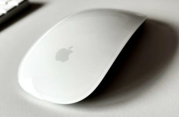 Apple to Fix Its Most Annoying Design Flaw? Magic Mouse May Get a Major Update