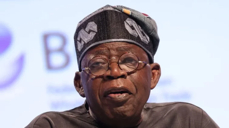 Niger Delta: Mixed reactions trail Tinubu’s reshuffle