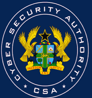 Cyber Security warns SHS graduates over irresponsible social media posts