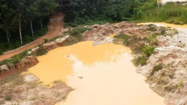 Galamsey pollution threatens agricultural exports – EU sounds alarm