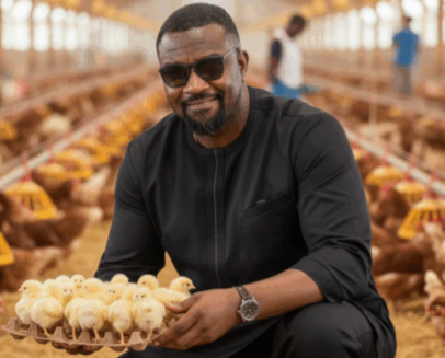 Gov’t to distribute 3 million birds to farmers under ‘nkoko nkitinkiti’ programme