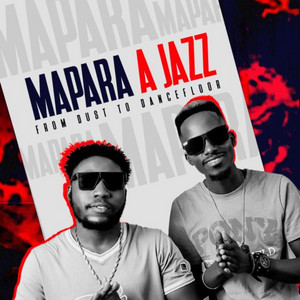 Mapara A Jazz returns to South Africa after kidnapping ordeal in Ethiopia