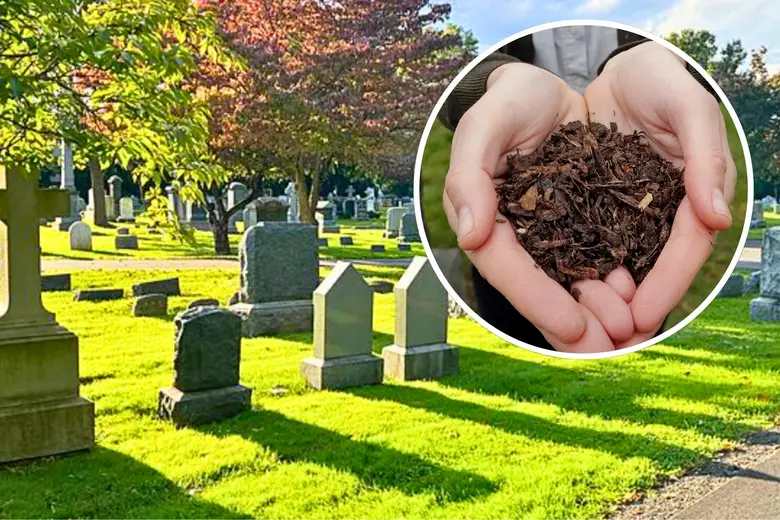 New Jersey becomes 14th state in the USA to legalized human composting New Jersey becomes 14th state in the USA to legalized human composting