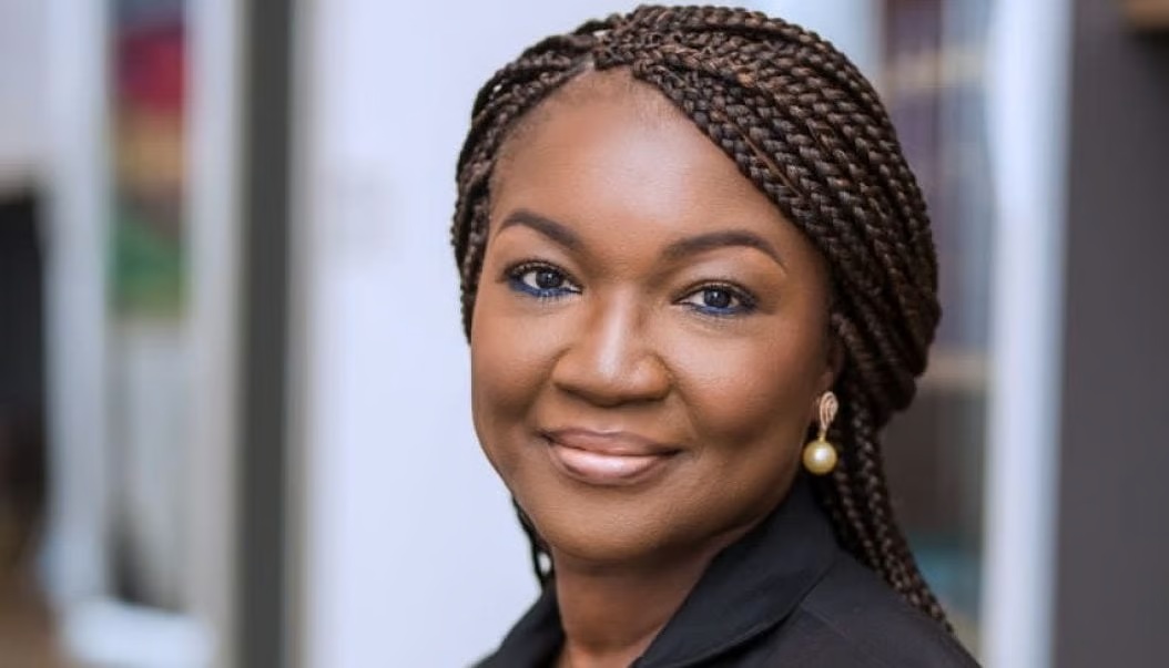 Joyce Bawah ‘roasted’ on social media for denigrating Akufo-Addo Joyce Bawah ‘roasted’ on social media for denigrating Akufo-Addo