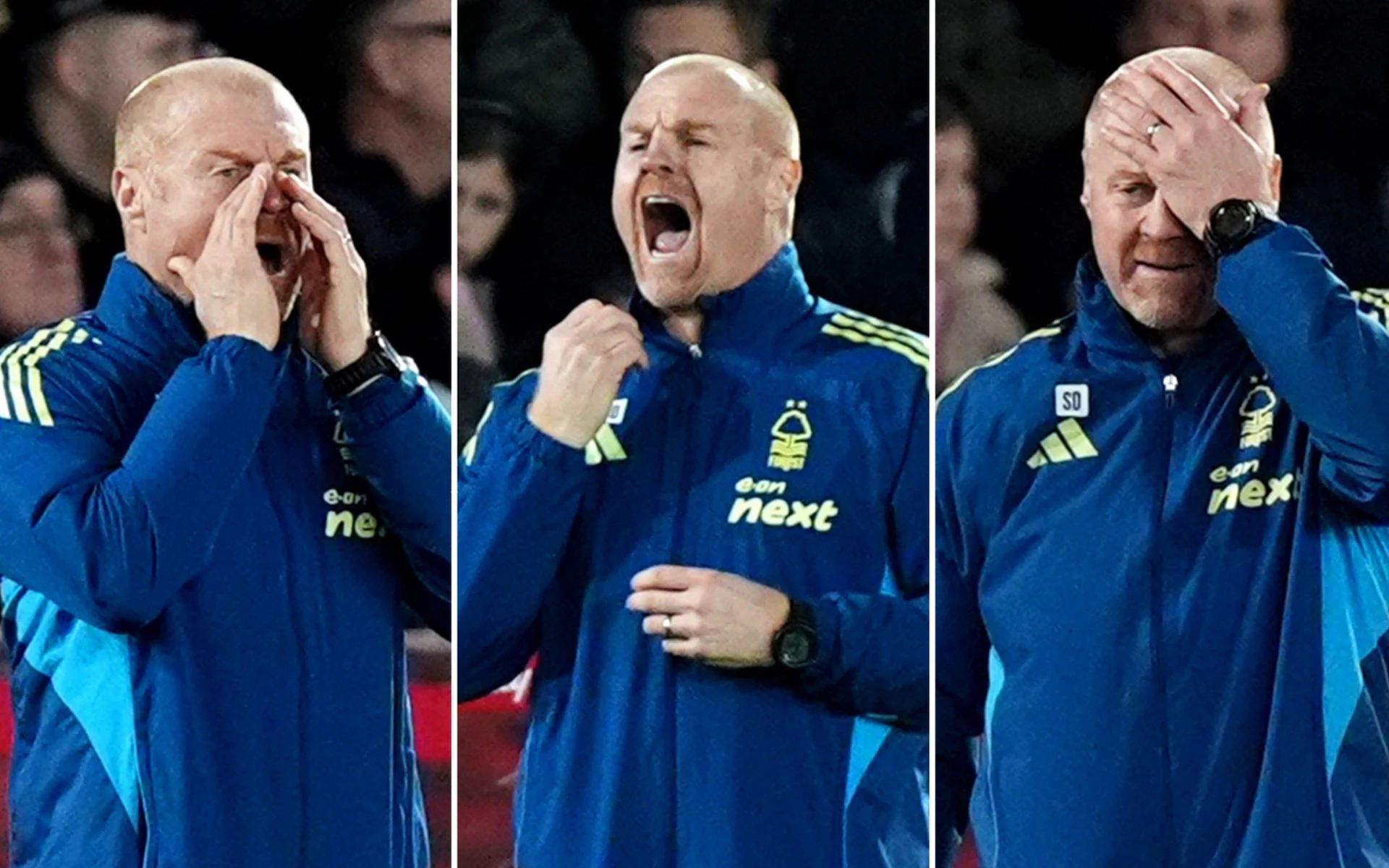 Notthingham Forest: Club sack Sean Dyche after goalless against Wolves