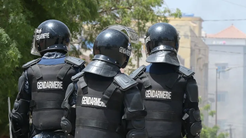 Senegal arrests 14 members of alleged paedophile gang linked to France