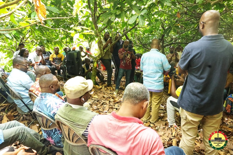 Akufo-Addo didn’t cut cocoa price even during COVID – Farmers cry out