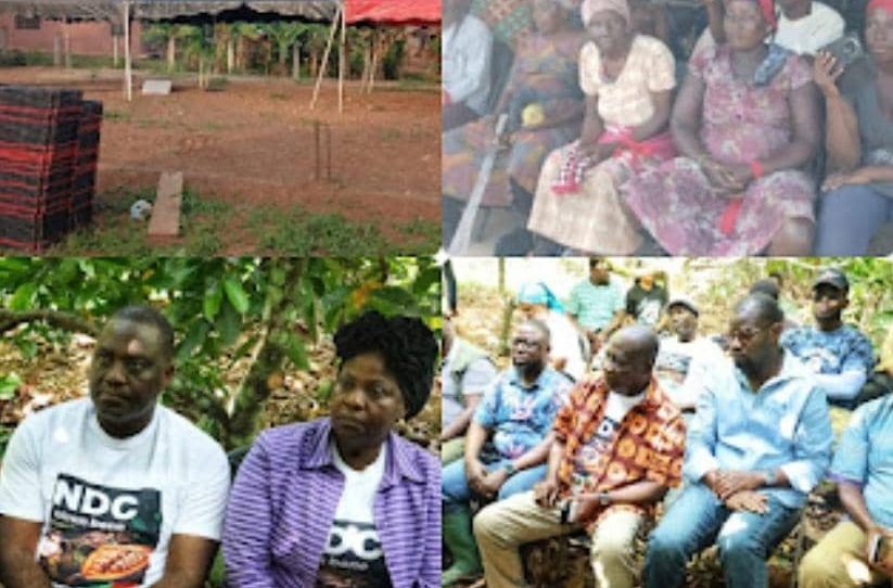 Ahafo Ano North: Aggrieved cocoa farmers snub NDC meeting, turn to Minority