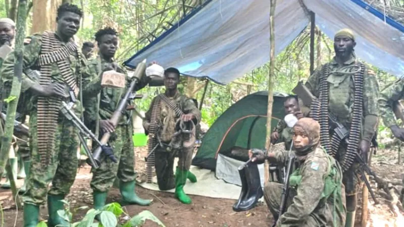 Over 200 hostages freed as joint offensive raids IS-linked militant camp in DR Congo