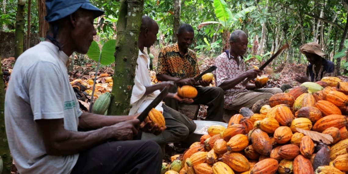 Ghana records over $3 billion in exports as cocoa processing drives industrial shift