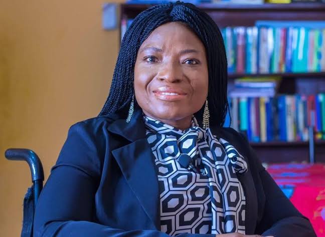 Include PWDs in climate change decisions – Prof. Naami