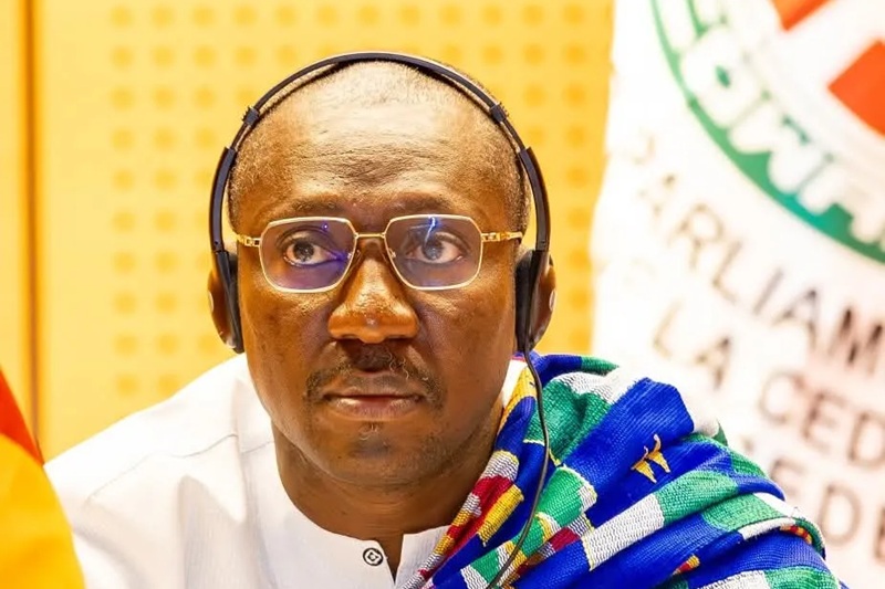ECOWAS Parliament: Third Deputy Speaker demands action over rising xenophobia, killing of West African citizens