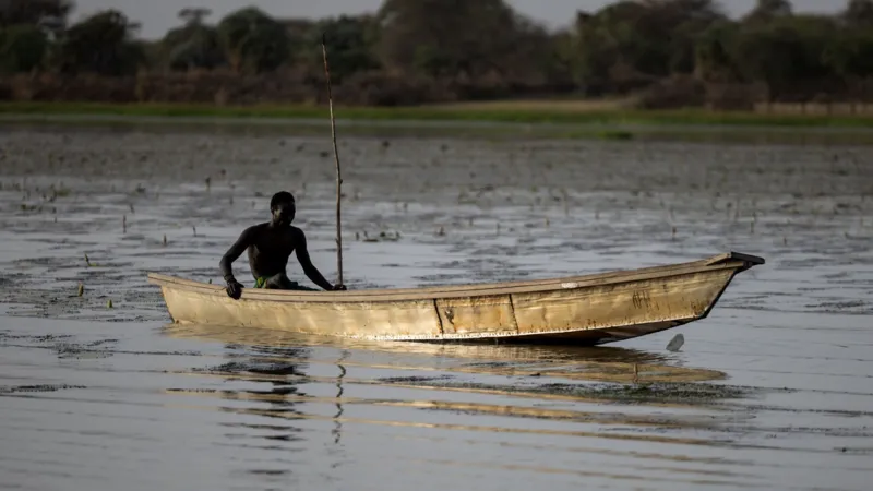 Nigeria: Dozens of fishermen feared dead after Chad air strikes on Boko Haram
