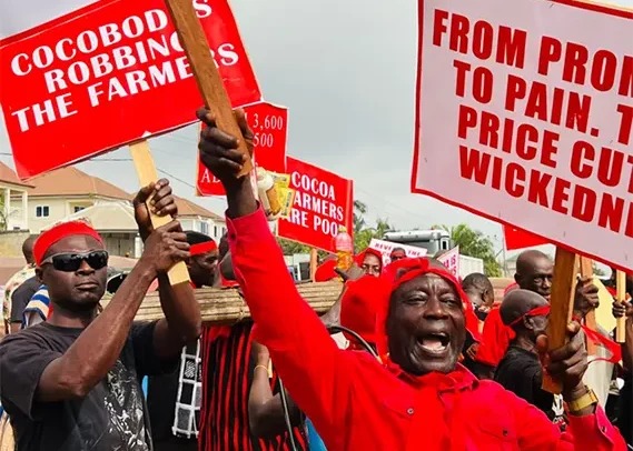 Gov’t maintains cocoa price amid mounting pressure from farmers, opposition Gov’t maintains cocoa price amid mounting pressure from farmers, opposition