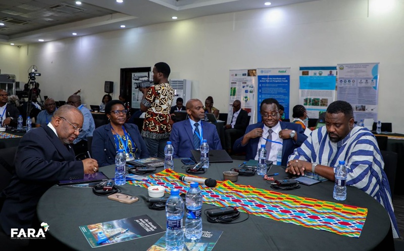 Experts push for revival of indigenous crops over food insecurity
