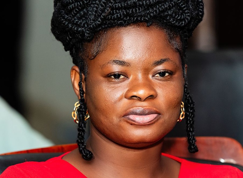 ICEDEG Africa presents recommendations to Finance Ministry ahead of mid-year budget review