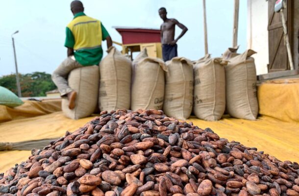 COCOBOD refuses to pay farmers GH¢3.4bn cocoa debt COCOBOD refuses to pay farmers GH¢3.4bn cocoa debt