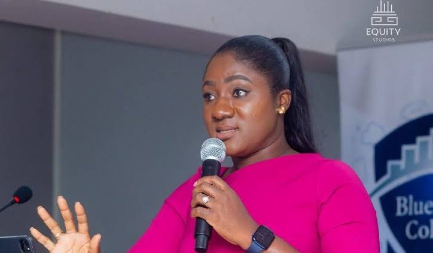 Throw out Mahama’s third-term petition – Akosua Manu to Supreme Court Throw out Mahama’s third-term petition – Akosua Manu to Supreme Court
