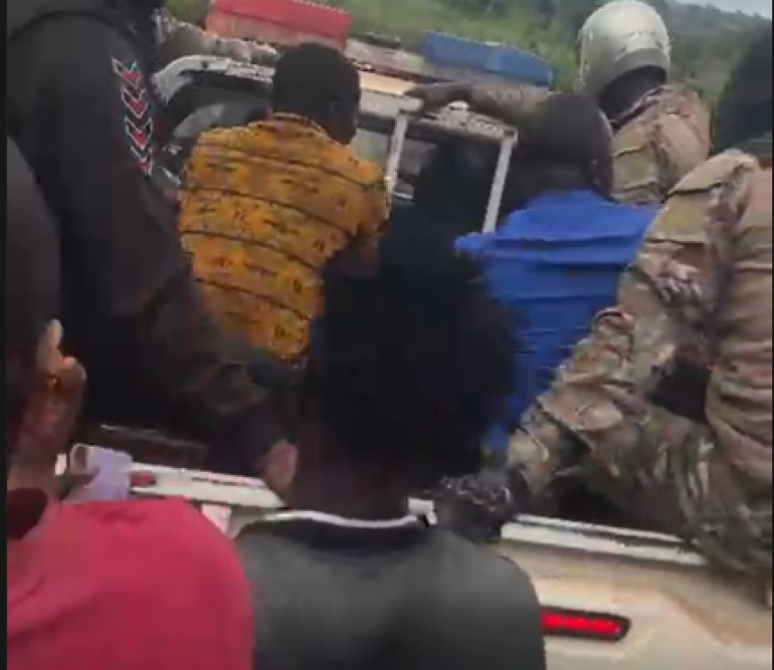 11 fake National Security operatives arrested for extorting cannabis farmers 11 fake National Security operatives arrested for extorting cannabis farmers