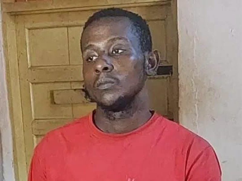 Amplifier thief gets two years’ imprisonment