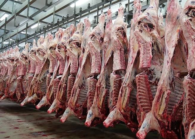 Anthrax outbreak kills dozens of wild animals in Zambia; authorities warn against eating carcasses Anthrax outbreak kills dozens of wild animals in Zambia; authorities warn against eating carcasses